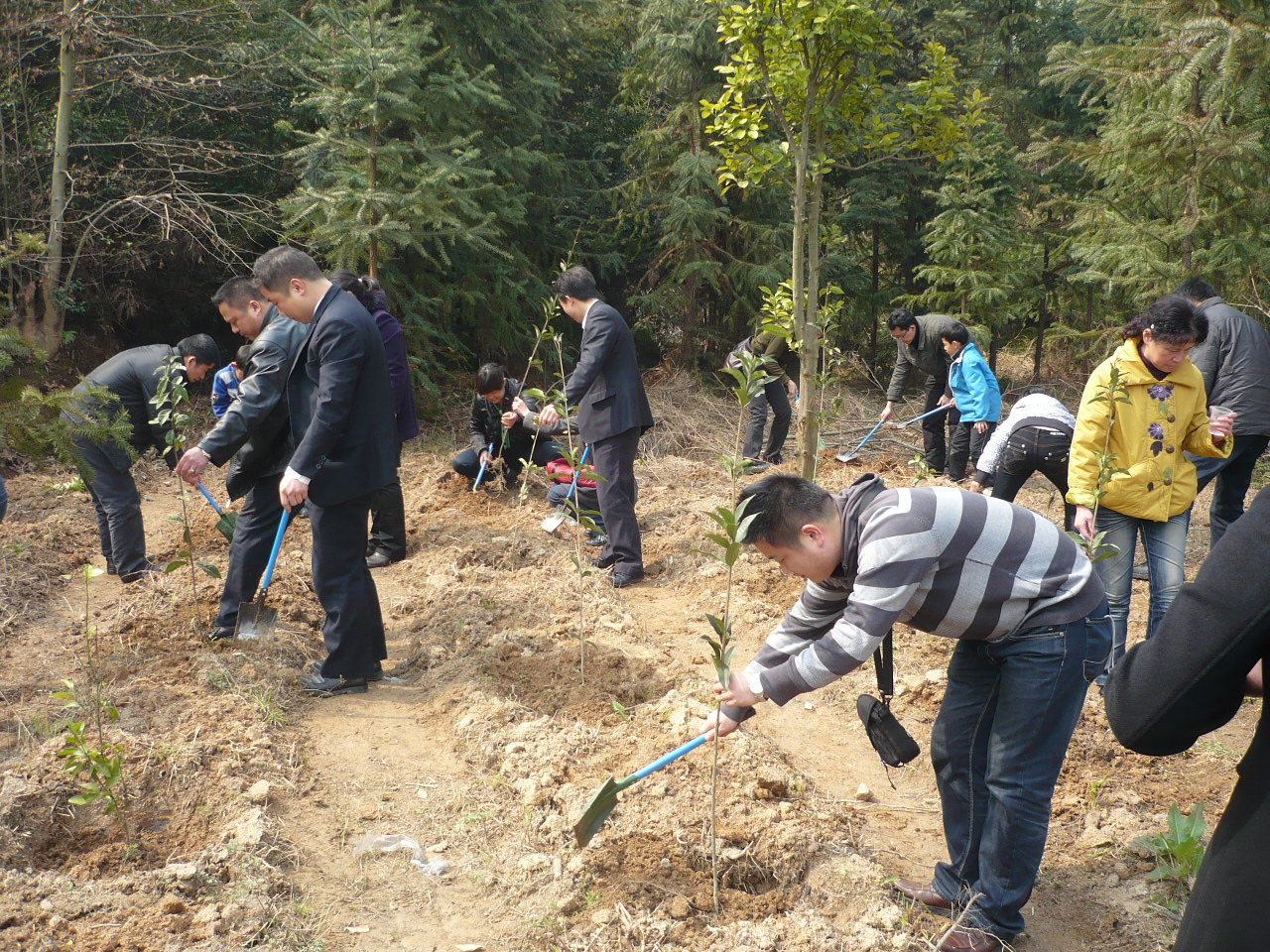 腾博汇游戏官网·(中国)专业服务,诚信为本
