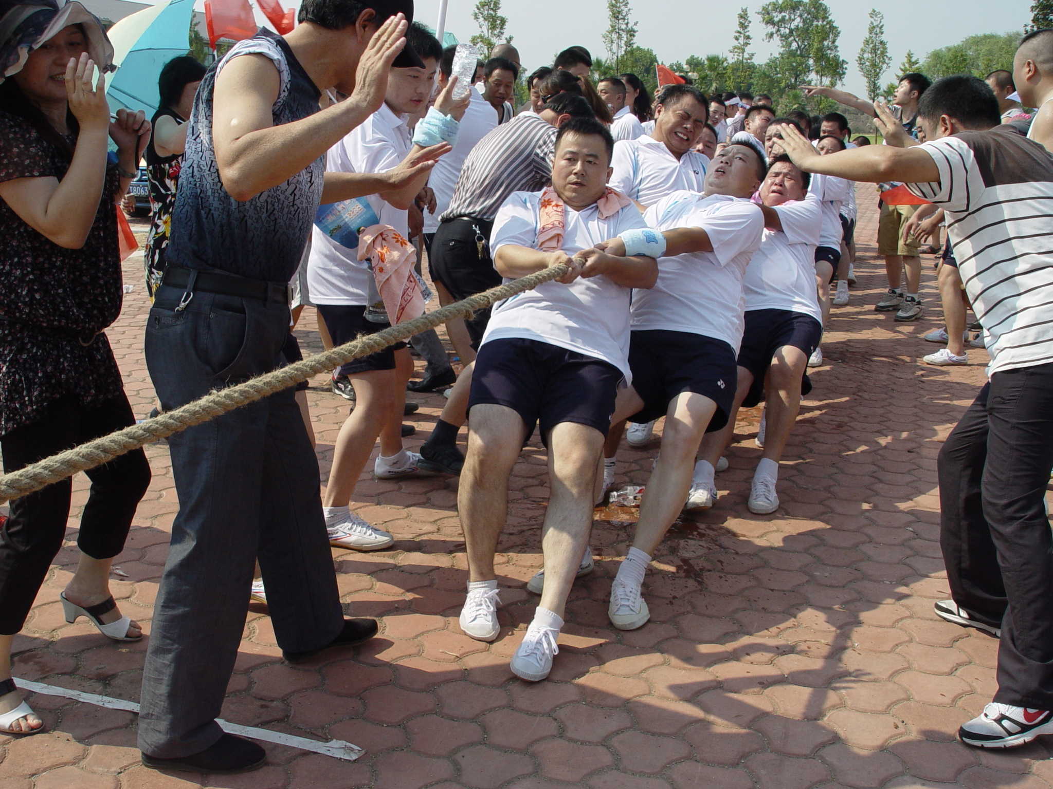 腾博汇游戏官网·(中国)专业服务,诚信为本