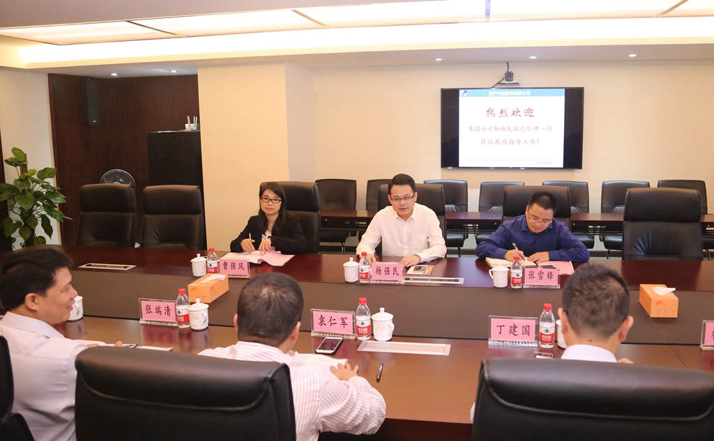 浙江省交通集团杨强民副总司理到公司调研指导