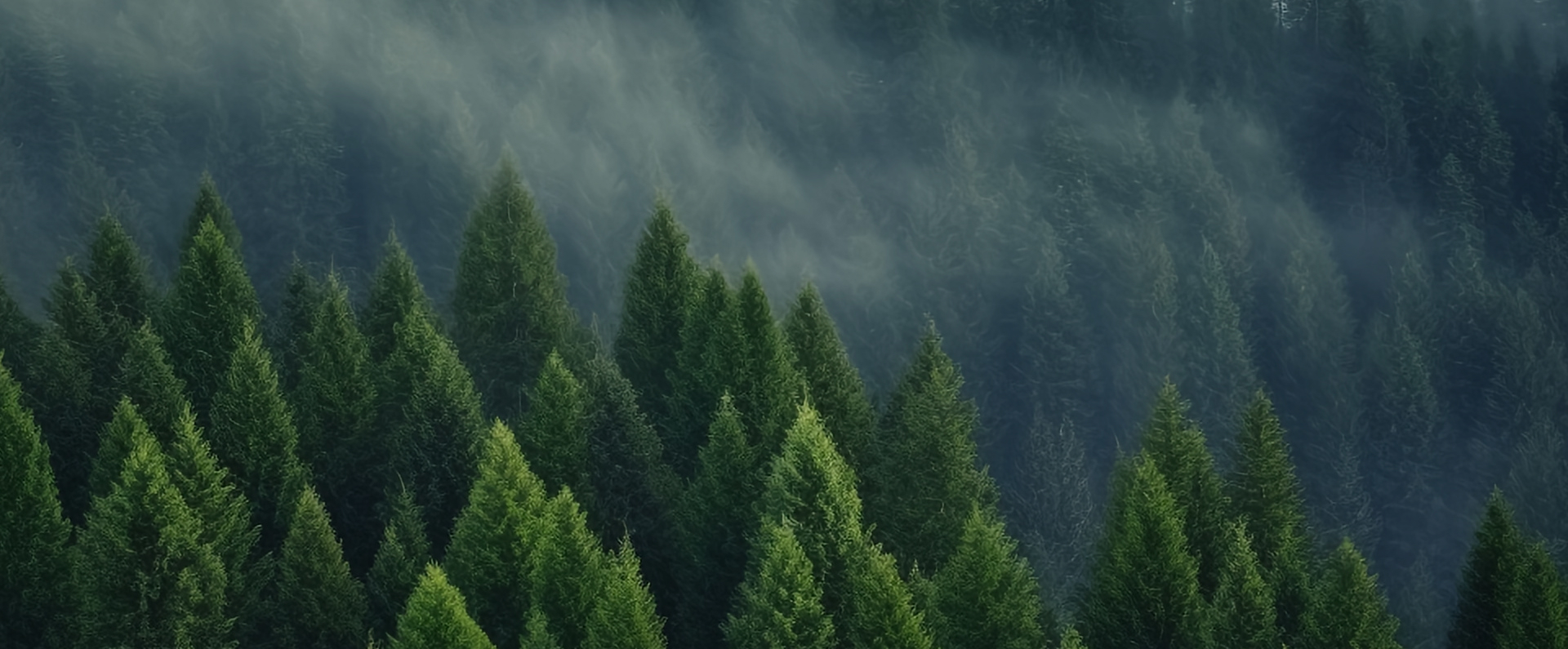 腾博汇游戏官网·(中国)专业服务,诚信为本